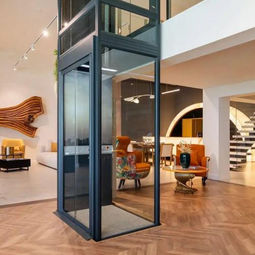 Homelift Ev & Villa Asansörleri